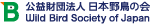 ���c�@�l�@���{�쒹�̉�