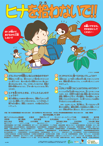�L�����y�[���|�X�^�[�ʐ^