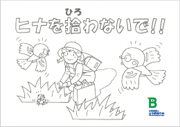 キャンペーンポスター写真