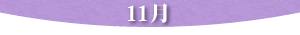 11��