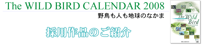 The WILD BIRD CALENDAR 2008 �쒹���l���n���̂Ȃ��� �̗p��i�̂��Љ�