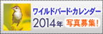 ���C���h�o�[�h�E�J�����_�[ 2012�N �ʐ^��W���I