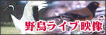�쒹���C�u�J����