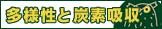 �쒹�ی�掖�Ɓ����l���ƒY�f�z��
