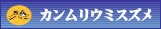 �J�������E�~�X�Y���ی�̎��g��
