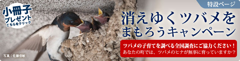 �����䂭�c�o�����܂��낤