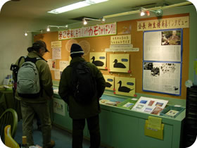 バードプラザの展示の写真
