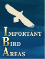 Important Bird Areas in Japan