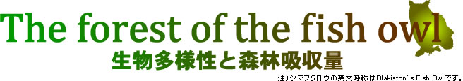 The forest of the fish owl�@�`�@�������l���ƐX�ыz���ʁ@�`