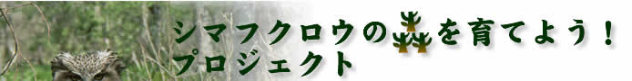 �V�}�t�N���E�̐X����Ă悤�I�v���W�F�N�g