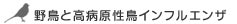 �쒹�ƍ��a�������C���t���G���U