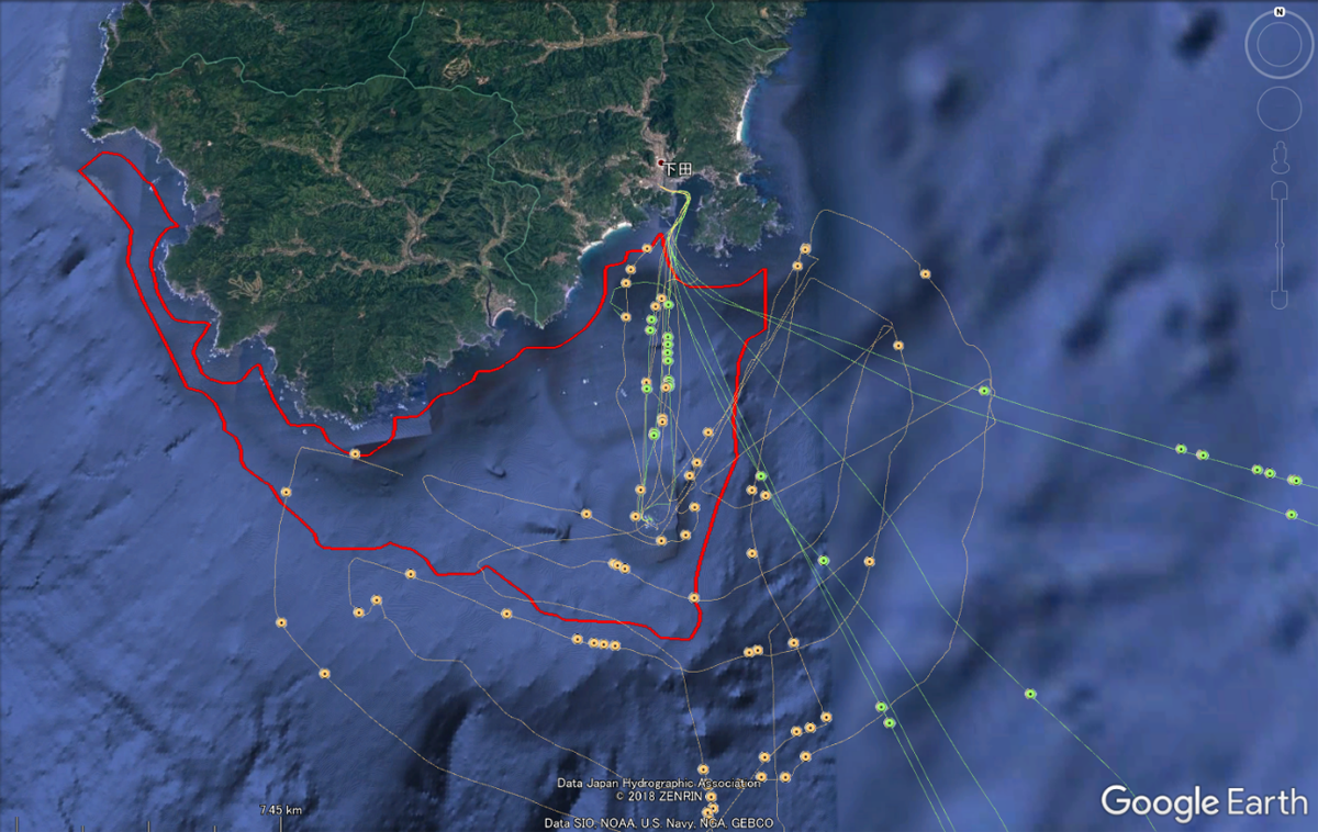 図4．神子元島周辺の繁殖期洋上個体数調査における個体確認地点