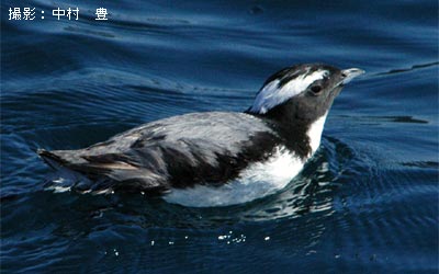 �J�������E�~�X�Y��