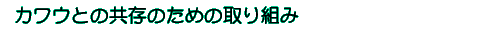 �J���E�Ƃ̋����̂��߂̎��g��