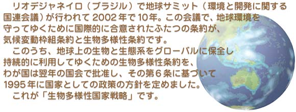 �n���̉摜