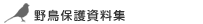 �쒹�ی쎑���W