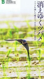 小冊子「消えゆくツバメ」 小冊子「消えゆくツバメ」