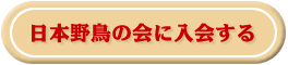 ���{�쒹�̉�ɓ����
