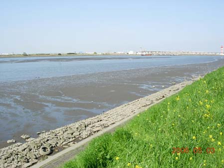 1. 多摩川河口干潟の環境写真