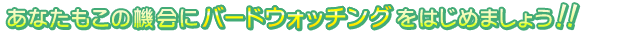 あなたもこの機会にバードウォッチングをはじめましょう!