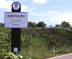 �n粖쒹�ی��t���V�}�i�k�C�������s�j�̊Ŕ̎ʐ^