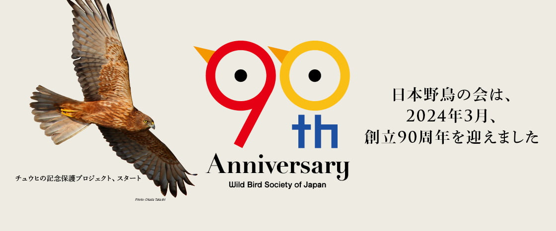 日本野鳥の会90周年アイキャッチ画像