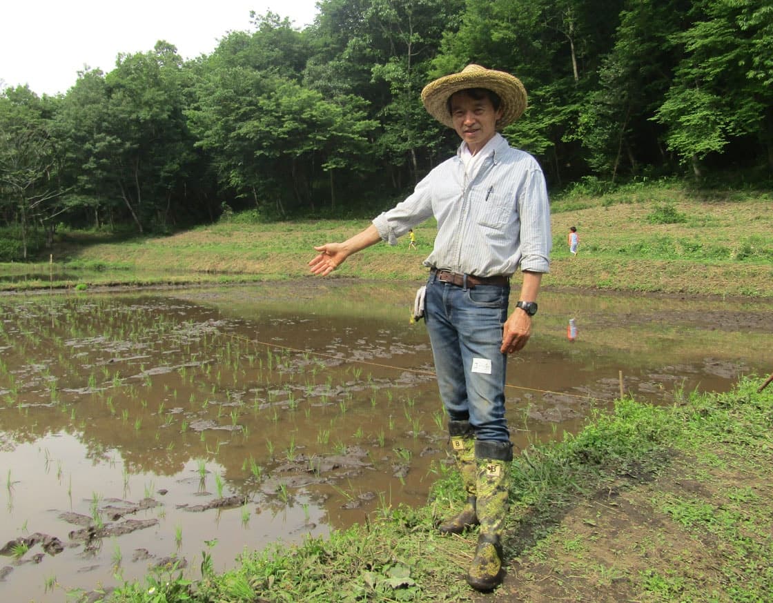 山間の田んぼ（田植えの頃）