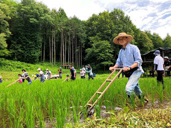 田ぐるまを使って田の草取り