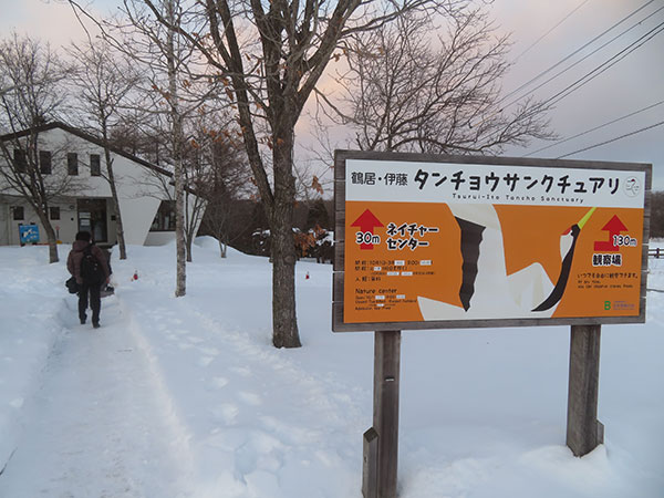 雪に覆われた鶴居・伊藤タンチョウサンクチュアリ