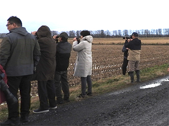 大潟村での探鳥会のようす"
