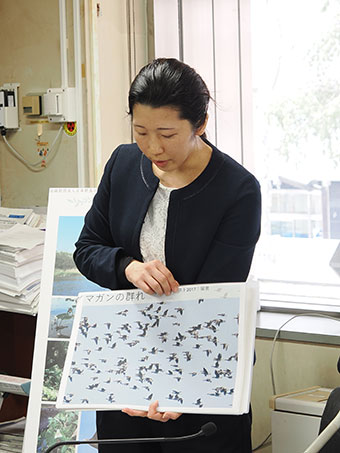 美々川を利用する鳥や植物について説明をする和歌月レンジャー