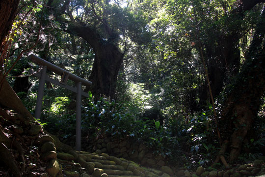 Yakushi-do Temple