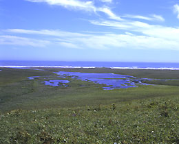 The Watanabe Wild Bird Protective Area Fureshima with an area of about 204ha (Nemuro City, Hokkaido)