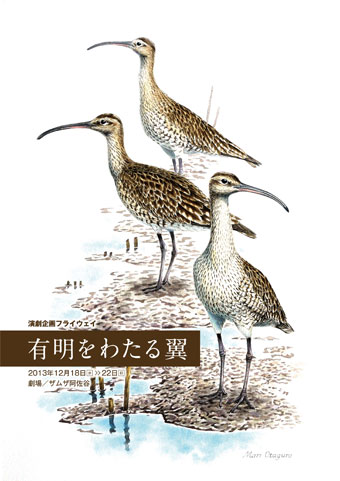 有明をわたる翼