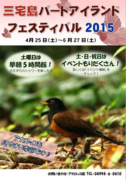 三宅島バードアイランドフェスティバル2015