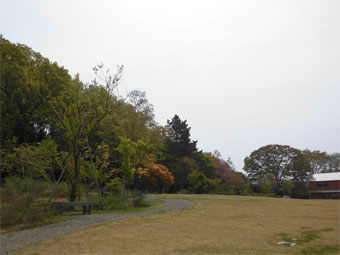 俣野別邸庭園 野鳥観察会