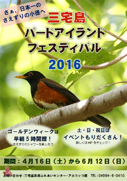 三宅島バードアイランドフェスティバル2016