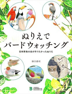 バードウィークに、谷口さんから鳥の絵を描く＆ぬるコツを学ぼう