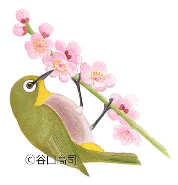 谷口高司さんから、鳥の絵を描く＆ぬるコツを学ぼう！