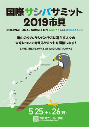 国際サシバサミット2019市貝チラシ