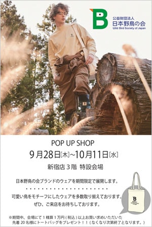 期間限定ショップ京王百貨店（新宿）チラシ
