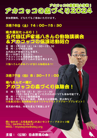 アカコッコの島復活大作戦！ アカコッコの森づくり2024ポスター