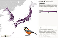 eBirdの画面