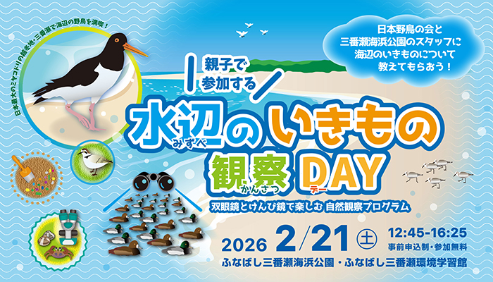 イベントチラシ