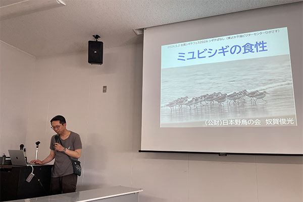 ミユビシギの食性について説明