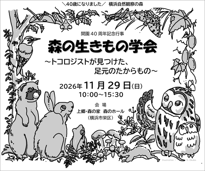 森の生きもの学会~トコロジストが見つけた、足元のたからもの~