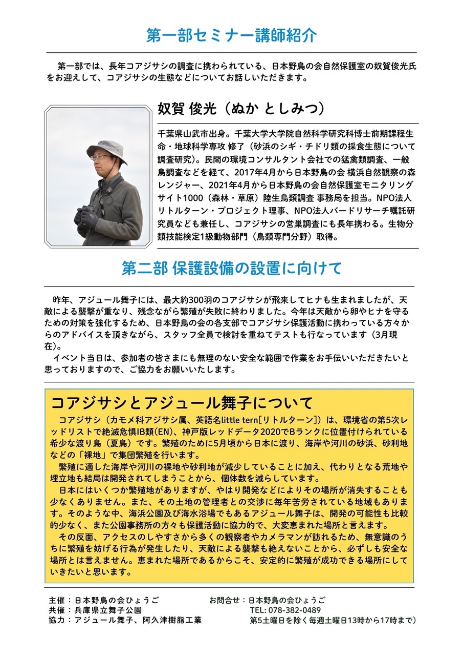 コアジサシを守ろう!保護活動イベント参加者募集