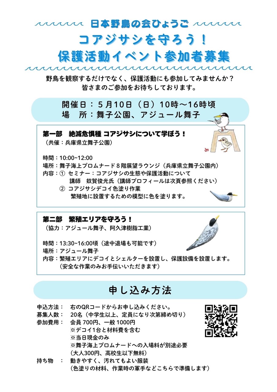 コアジサシを守ろう!保護活動イベント参加者募集