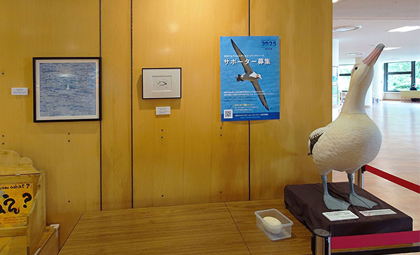 特別企画「オキノタユウ10,000羽に回復 記念写真展」