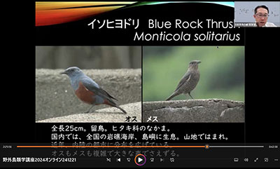 野外鳥類学講座のようす
